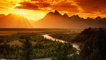 Reputation Management